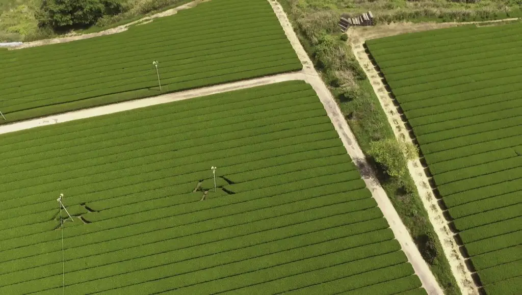 Изображение - 2 Изображение - 2